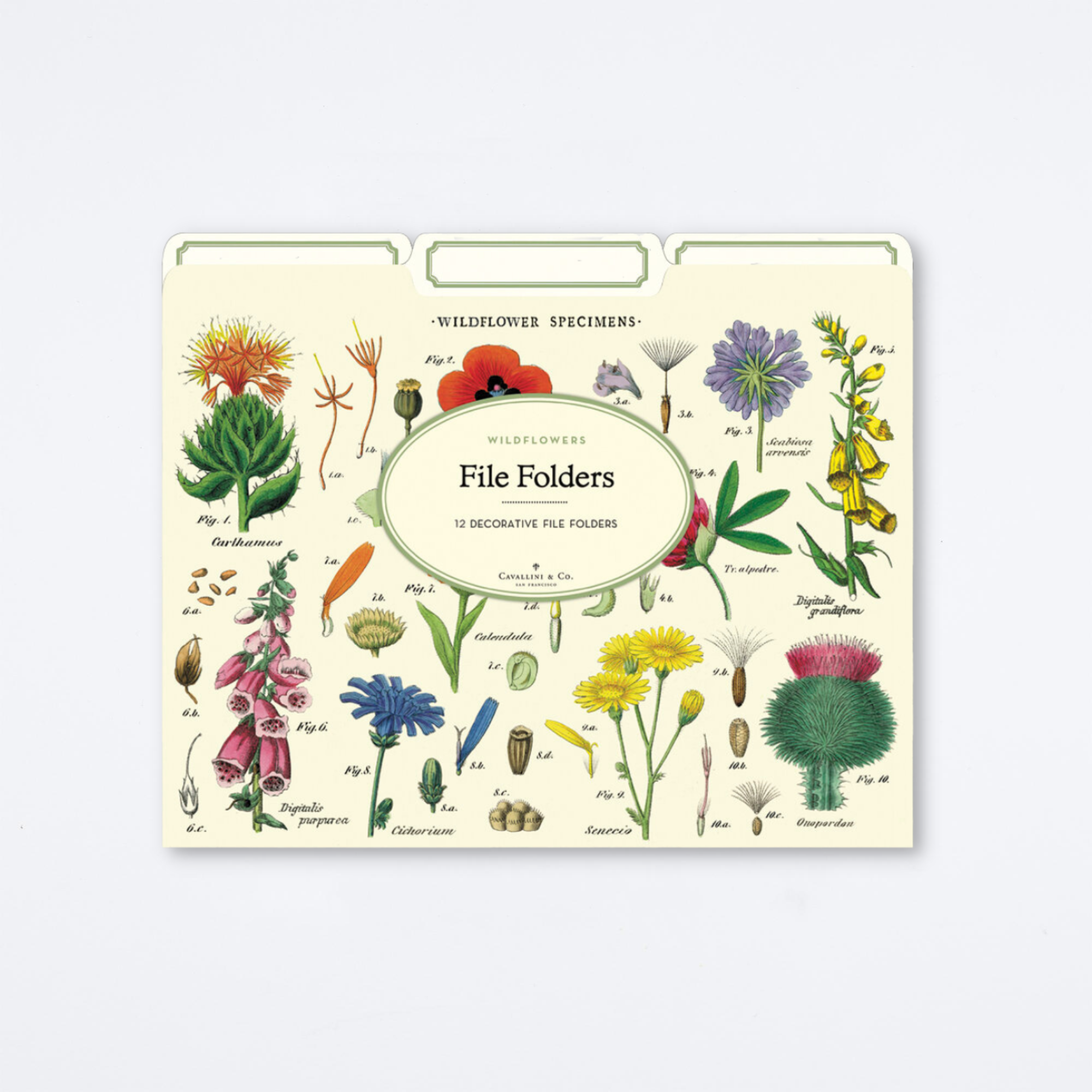 Wildflowers File Folder Set