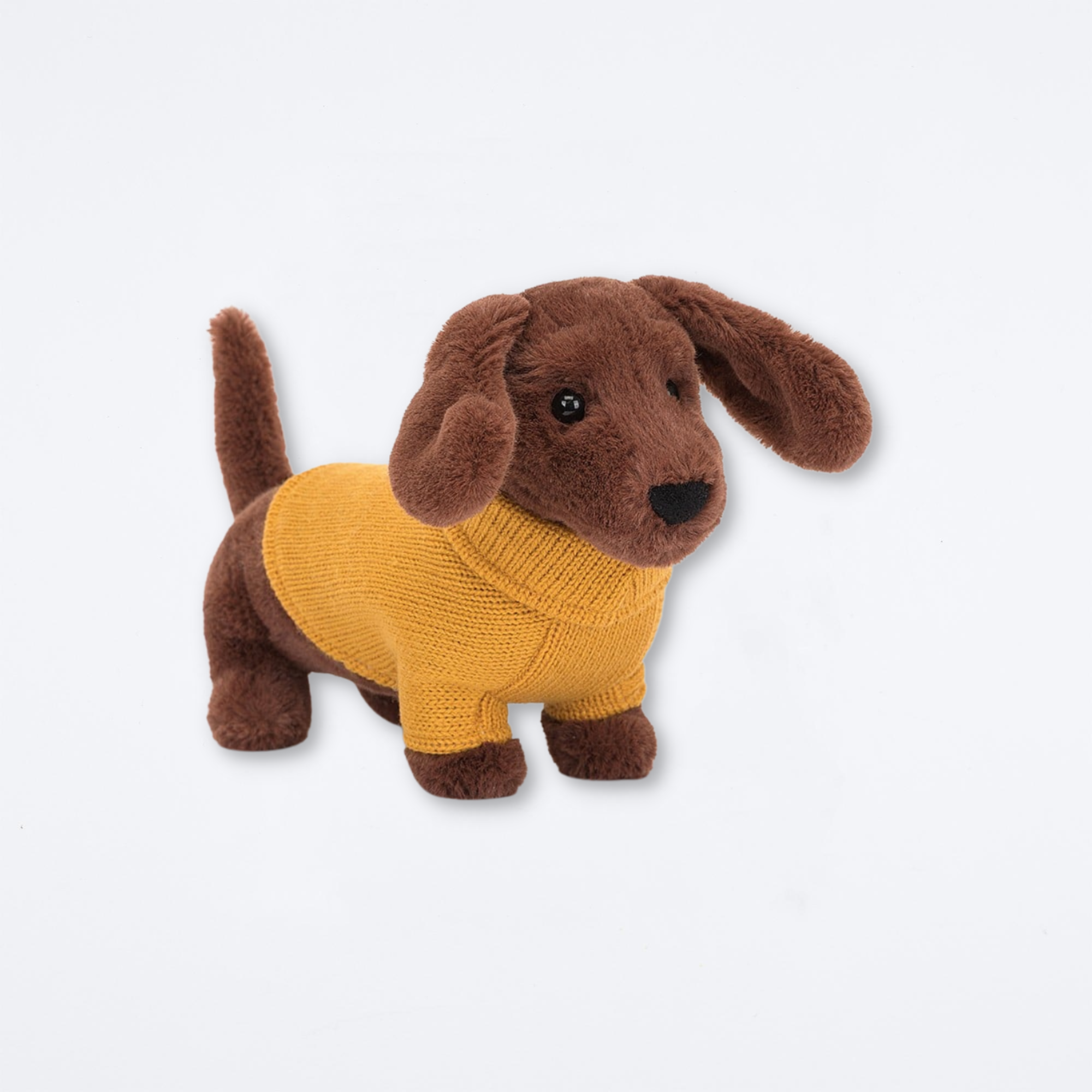 Yellow Sweater Sausage Dog