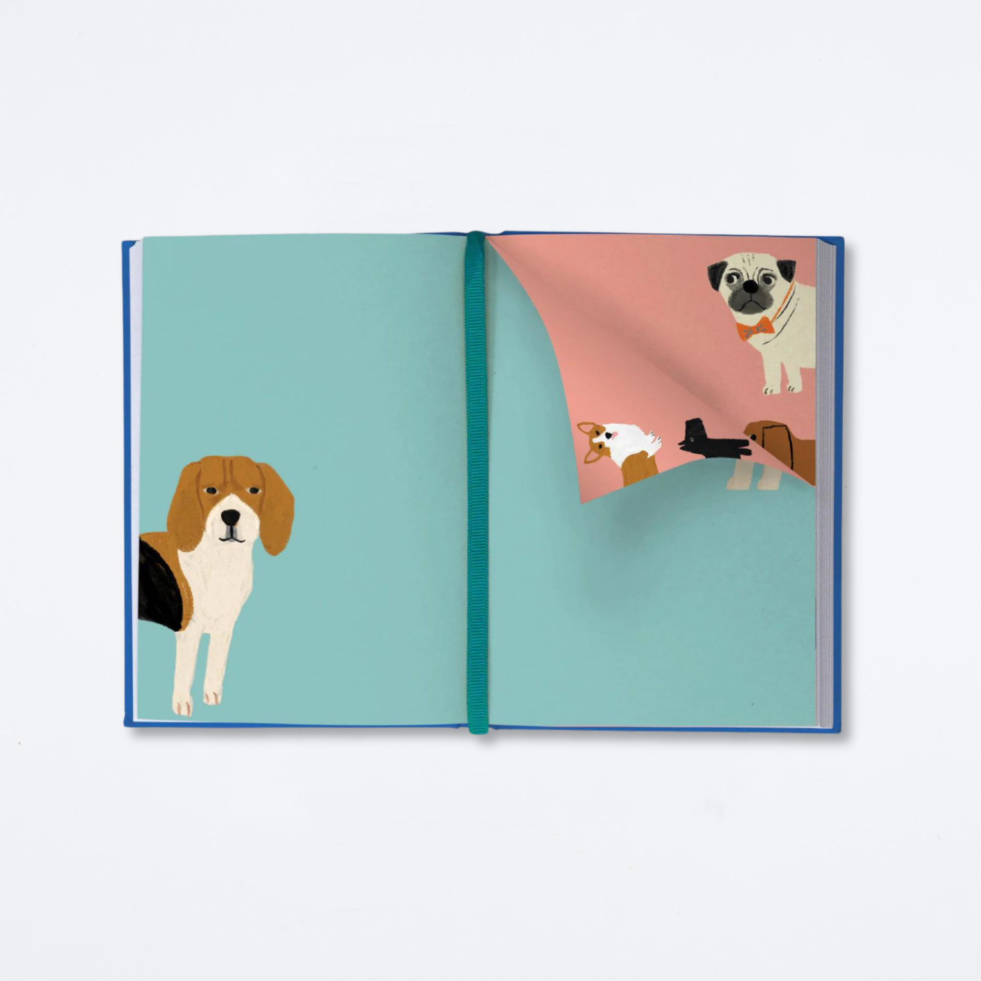 Shaggy Dogs Illustrated Journal