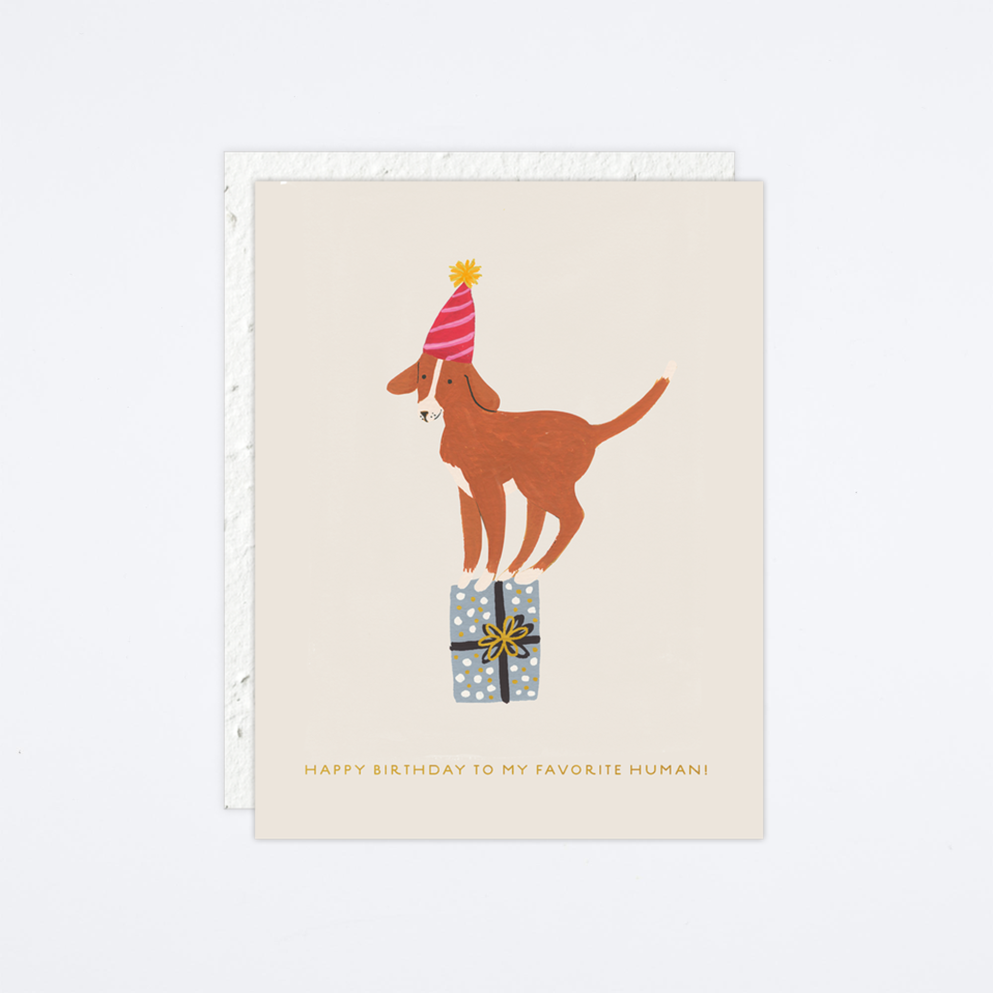 Birthday Dog Card