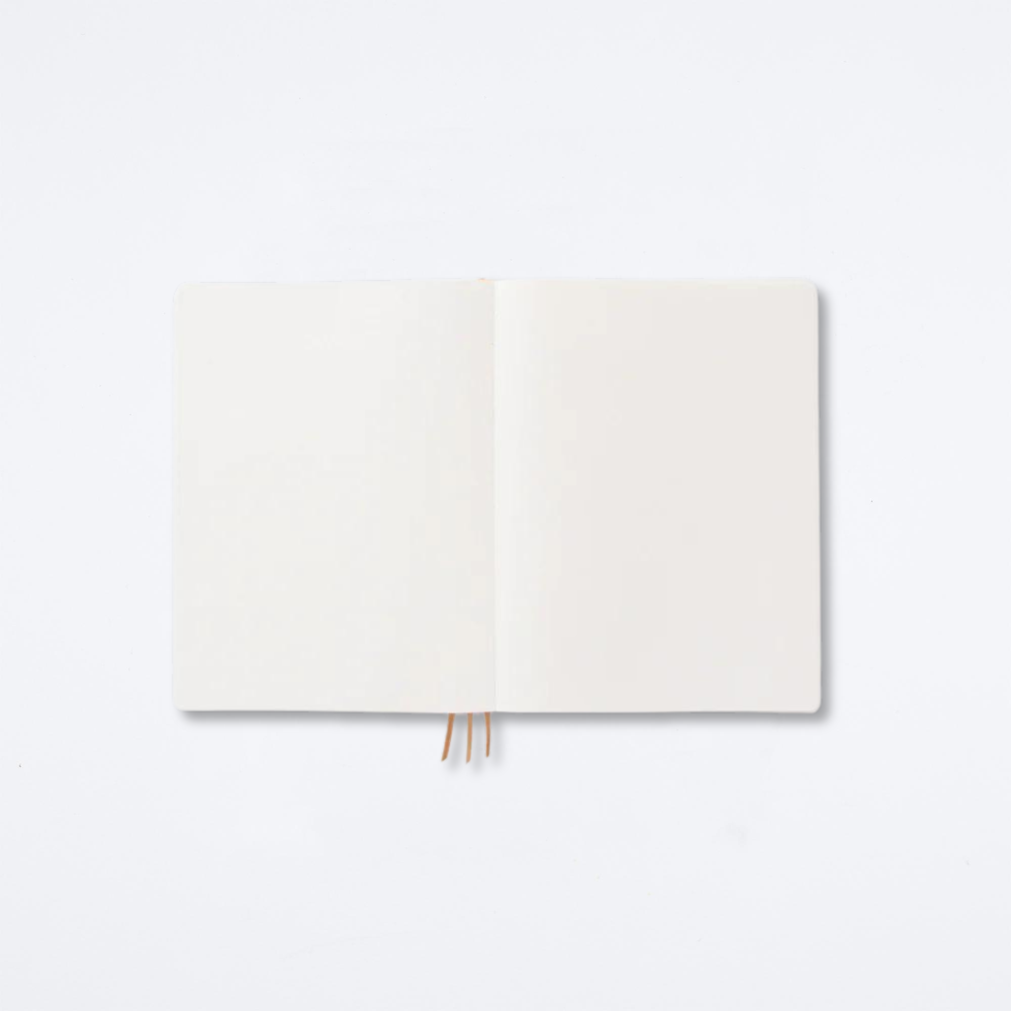 Standard Issue Project Notebook No.4