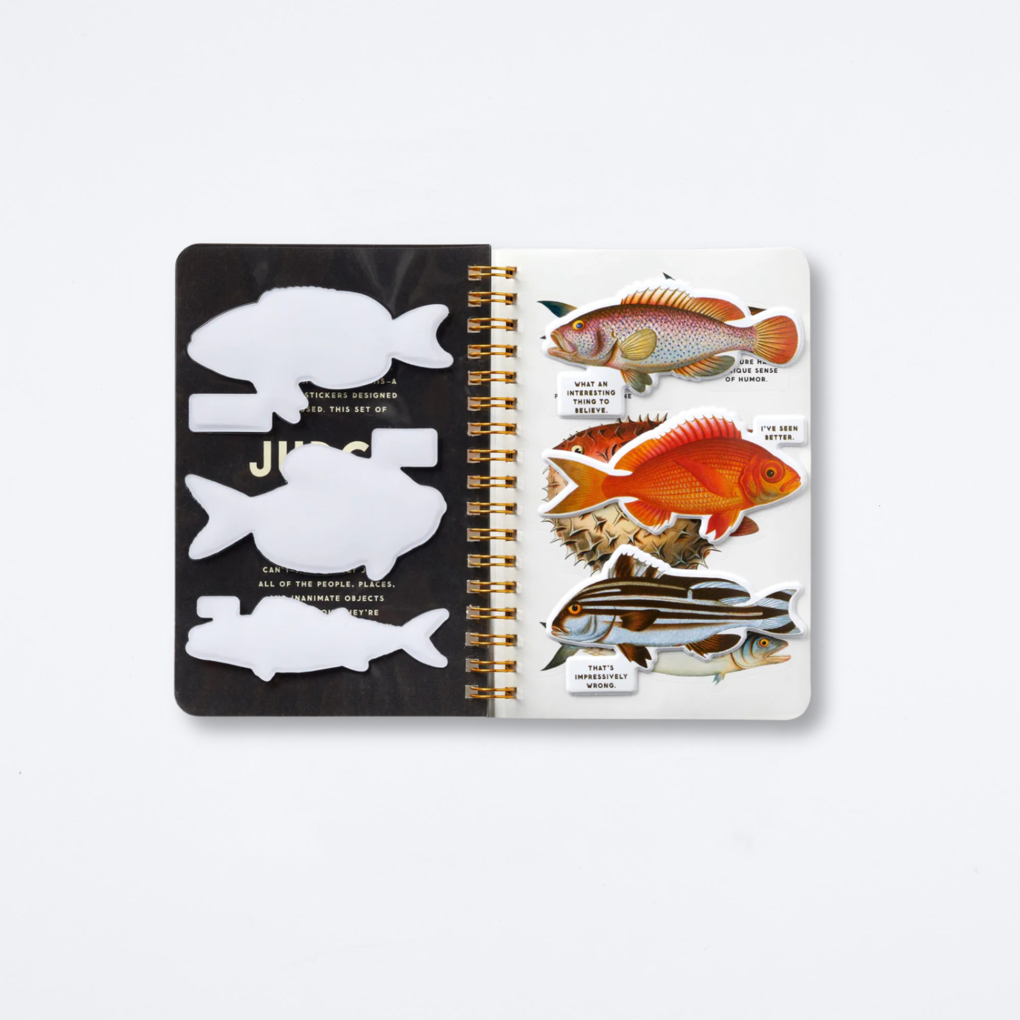 Judgy Fish Sticker Book