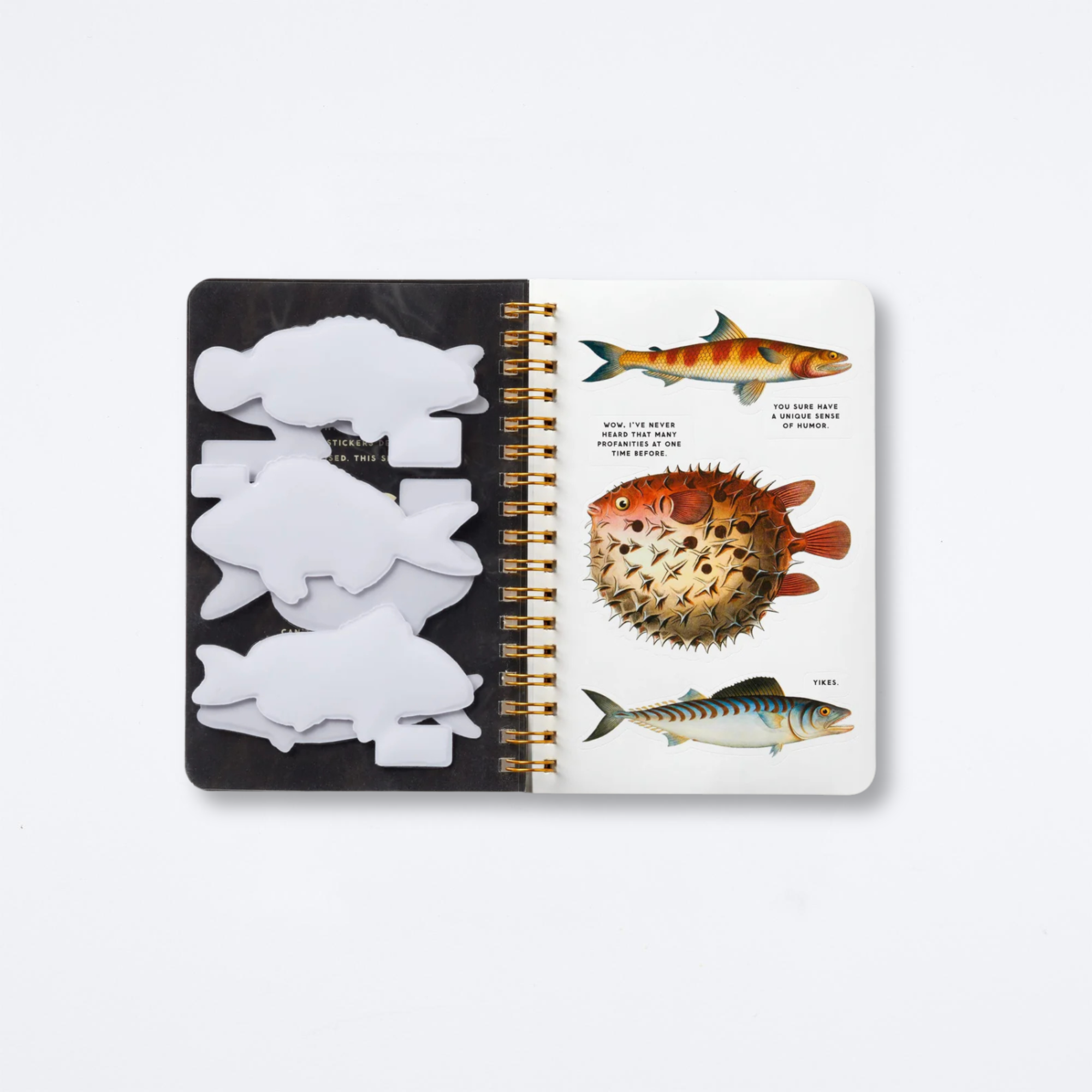 Judgy Fish Sticker Book