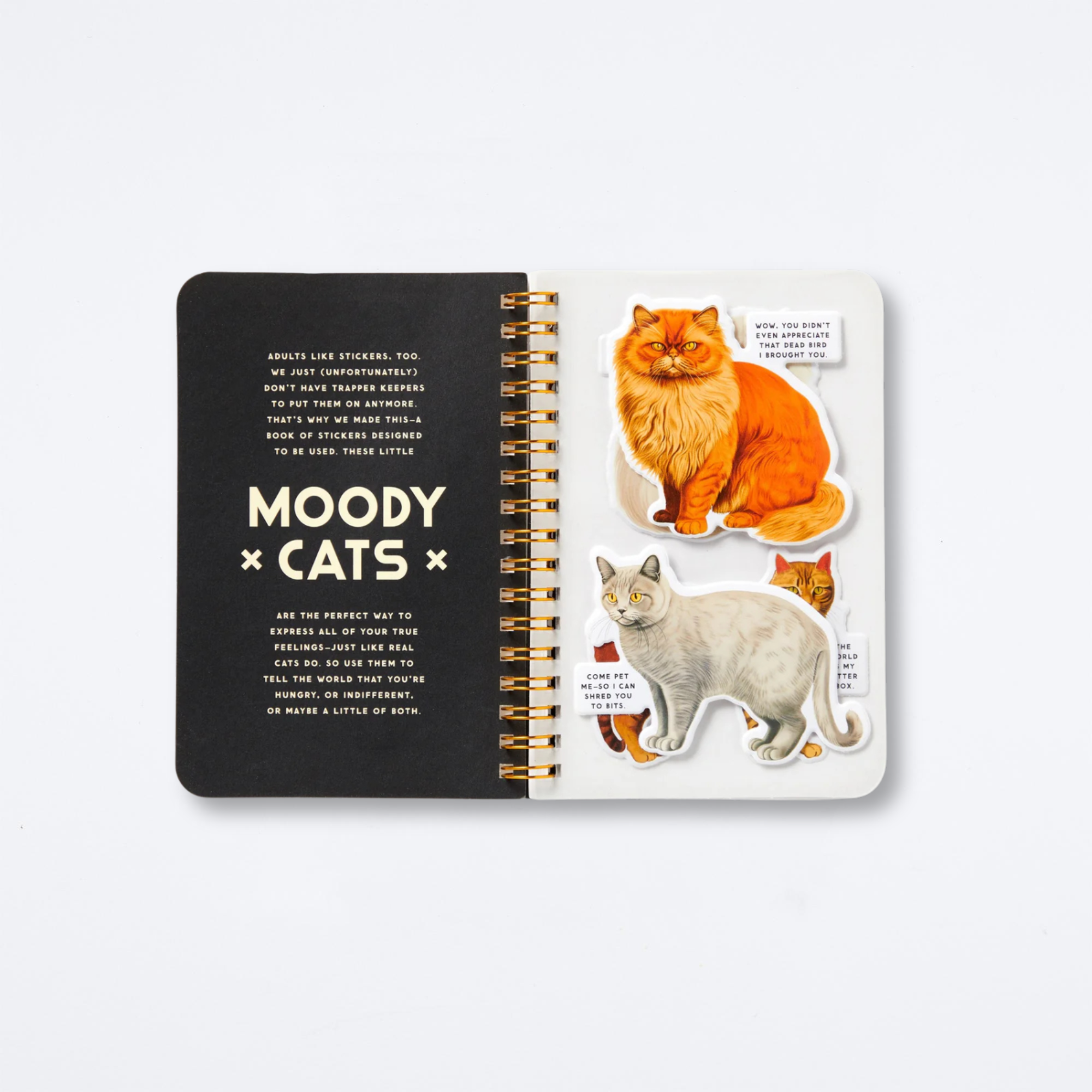 Moody Cats Sticker Book