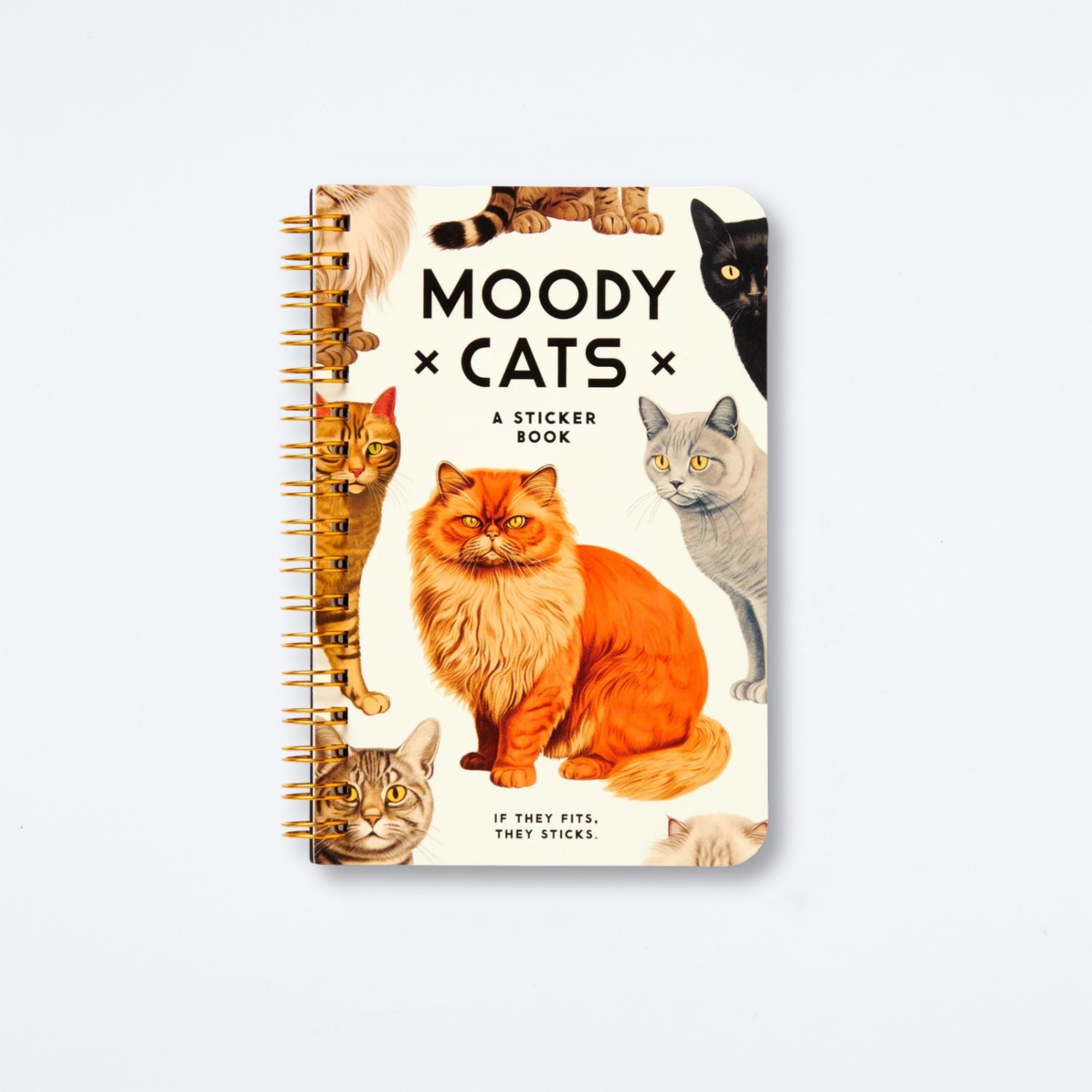 Moody Cats Sticker Book