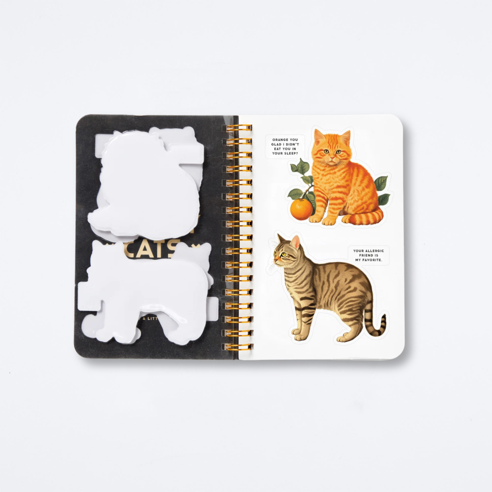 Moody Cats Sticker Book