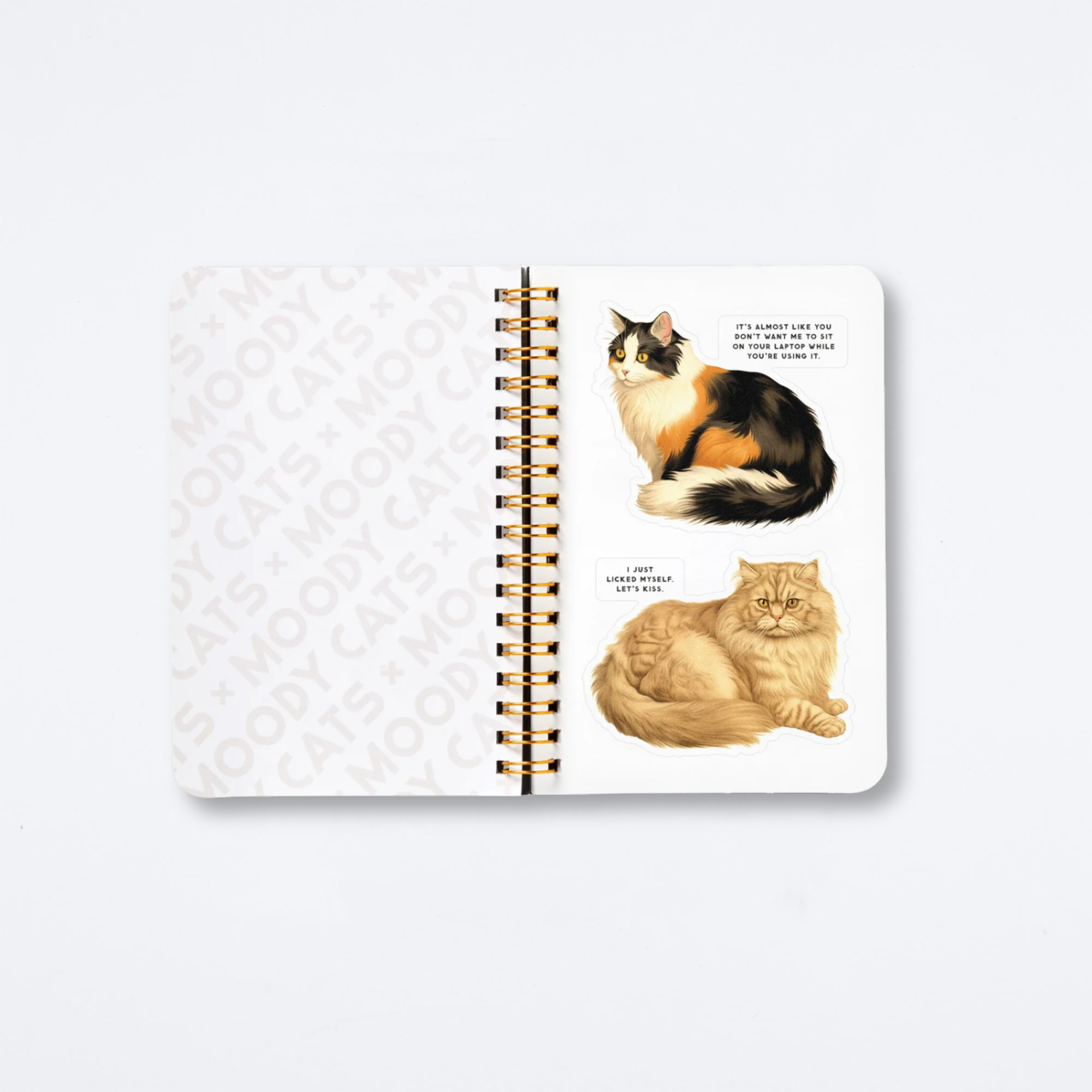 Moody Cats Sticker Book