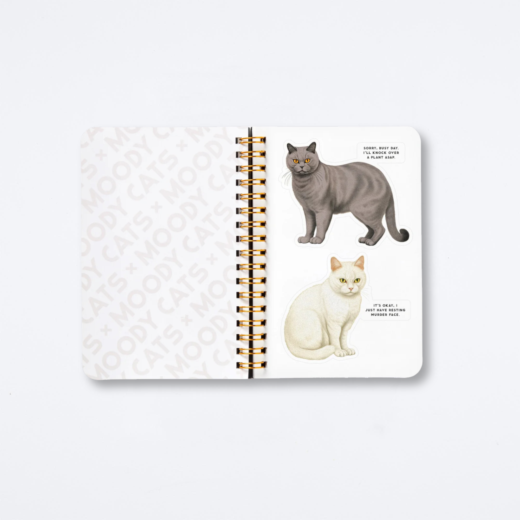 Moody Cats Sticker Book