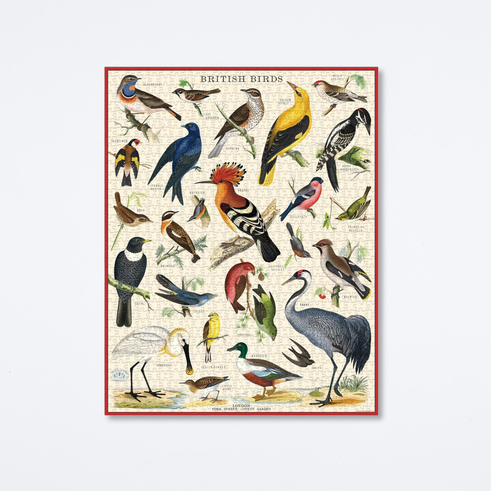 British Birds Puzzle