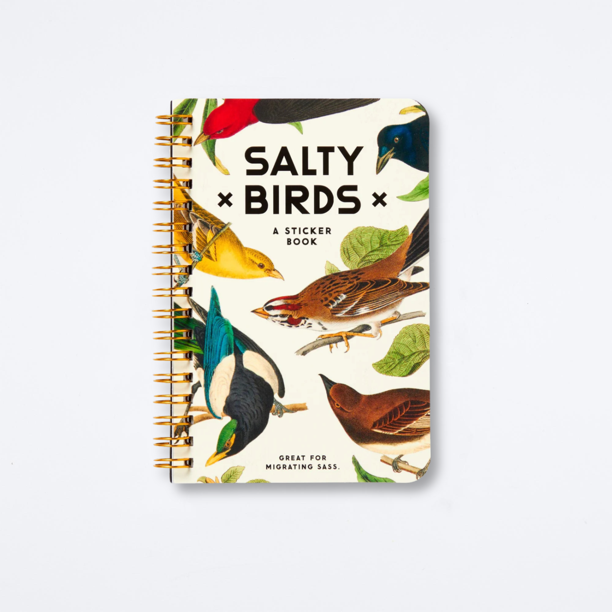 Salty Birds Sticker Book