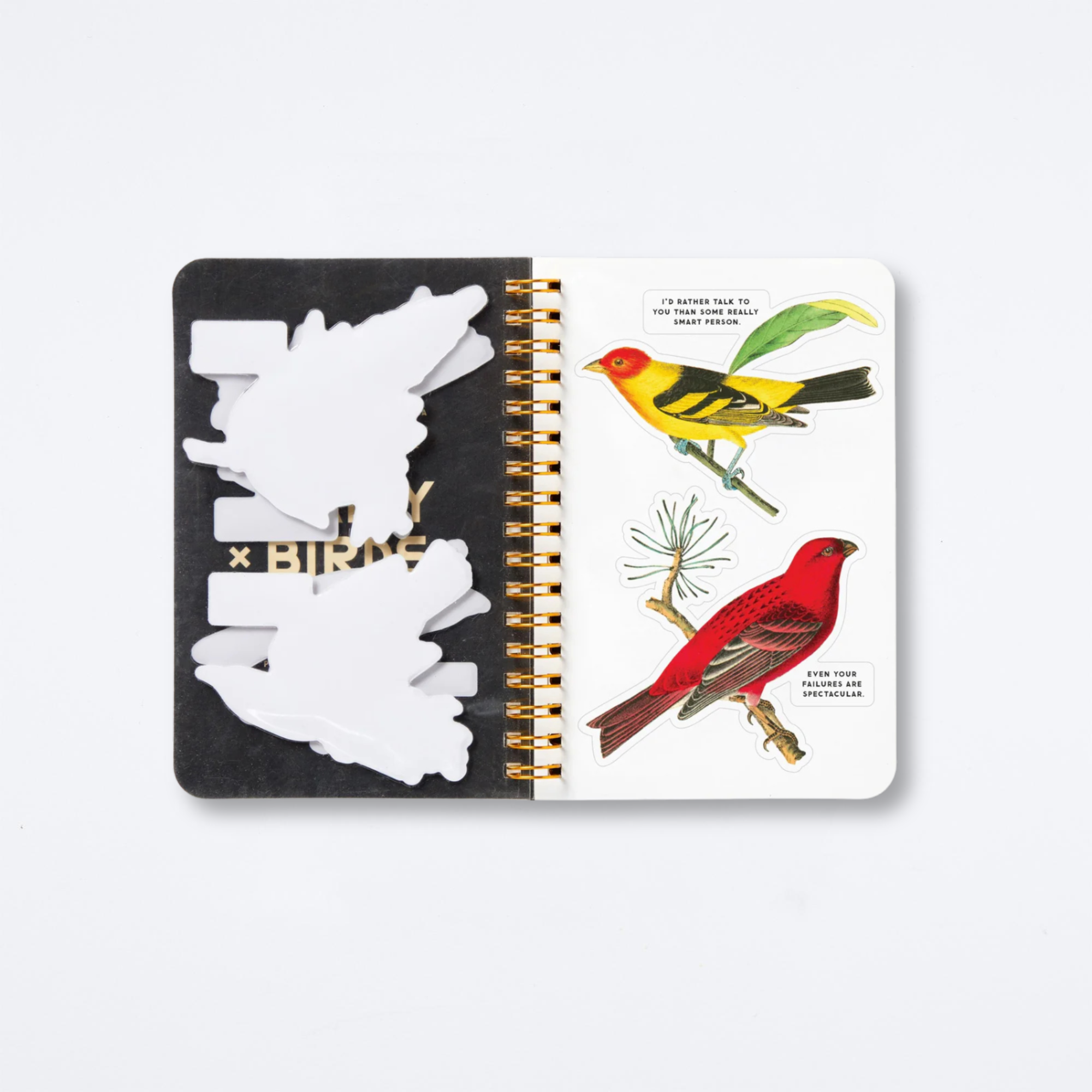 Salty Birds Sticker Book