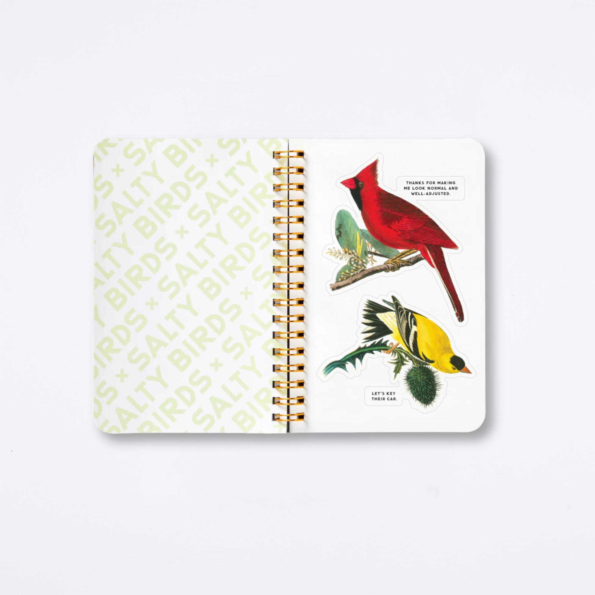 Salty Birds Sticker Book