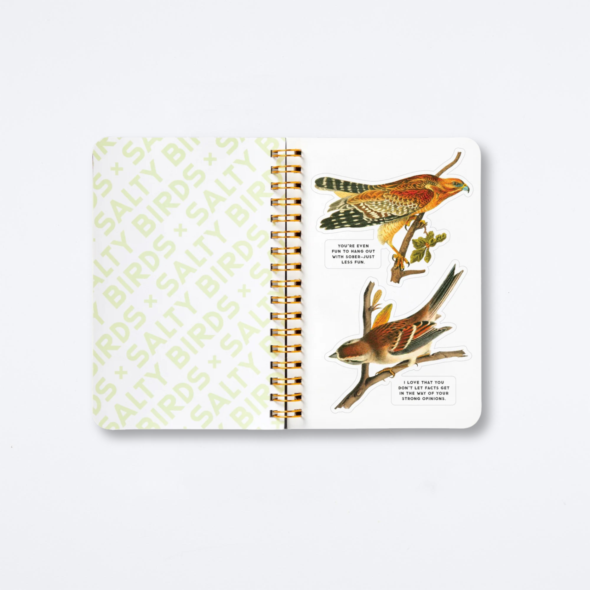 Salty Birds Sticker Book