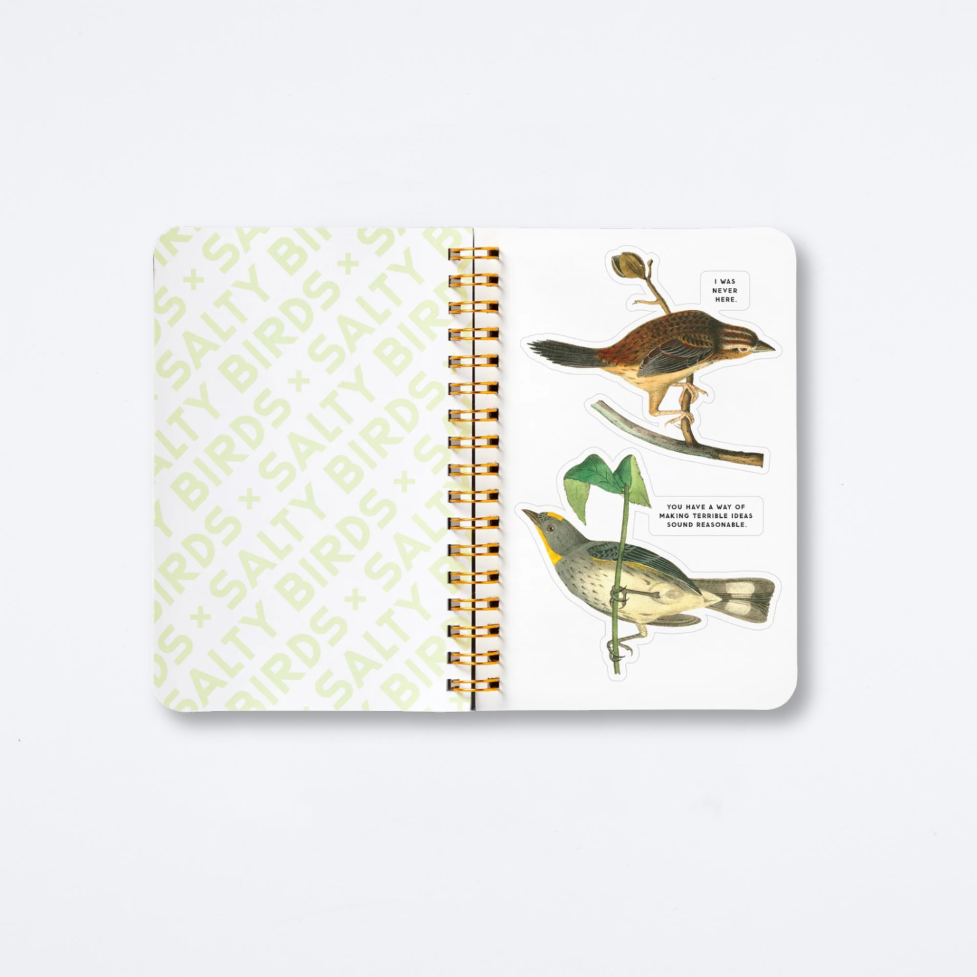 Salty Birds Sticker Book