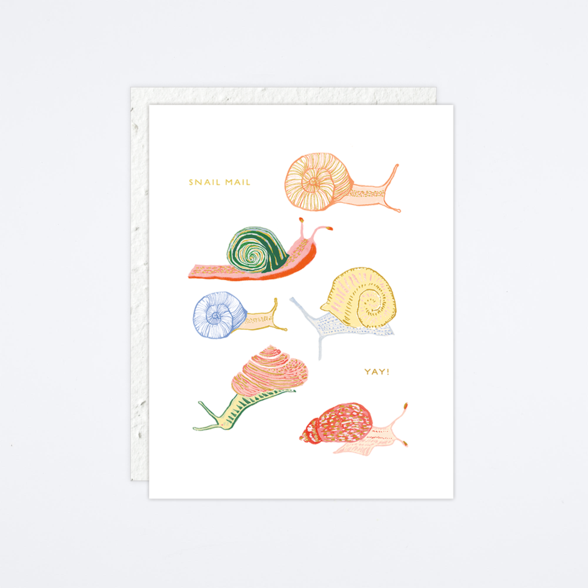 Snail Mail Card