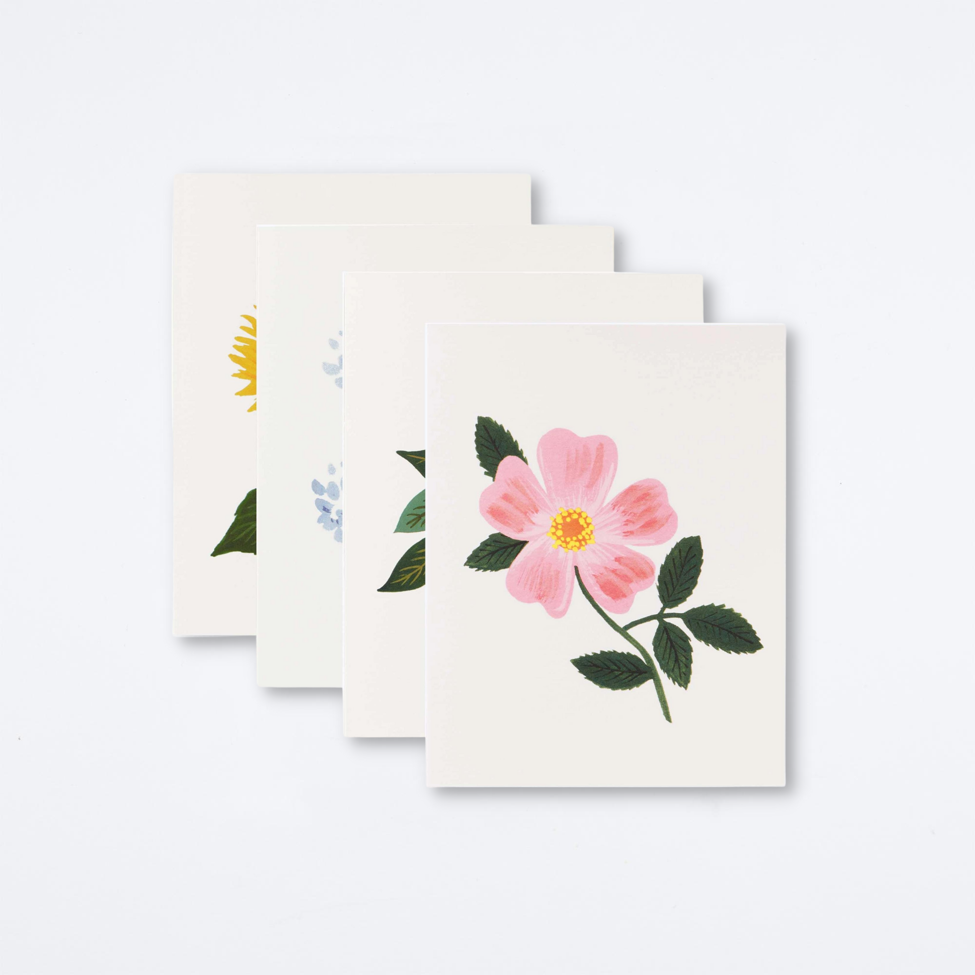 Assorted Botanical Blossom Card Set