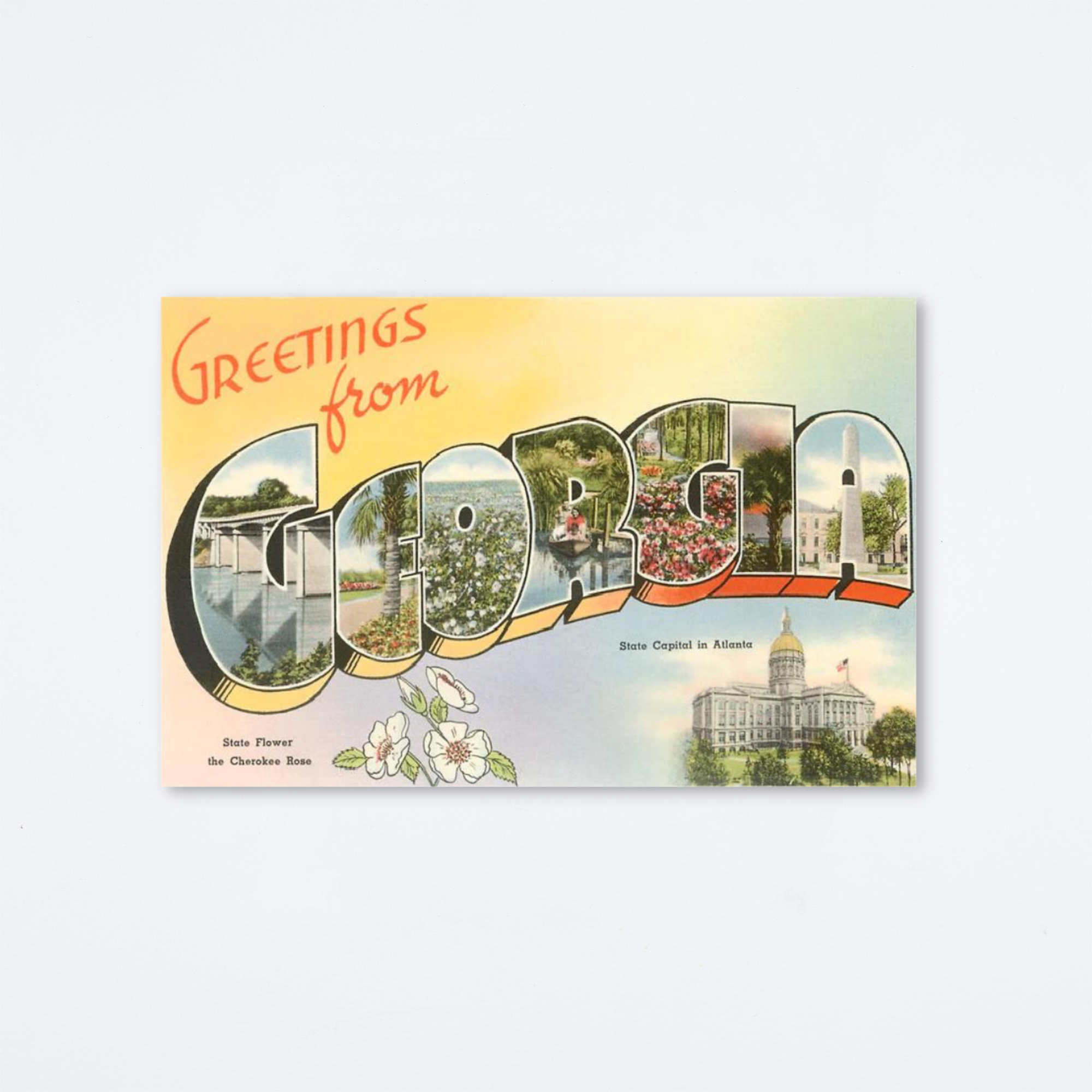 Greetings From Georgia Cherokee Rose Postcard