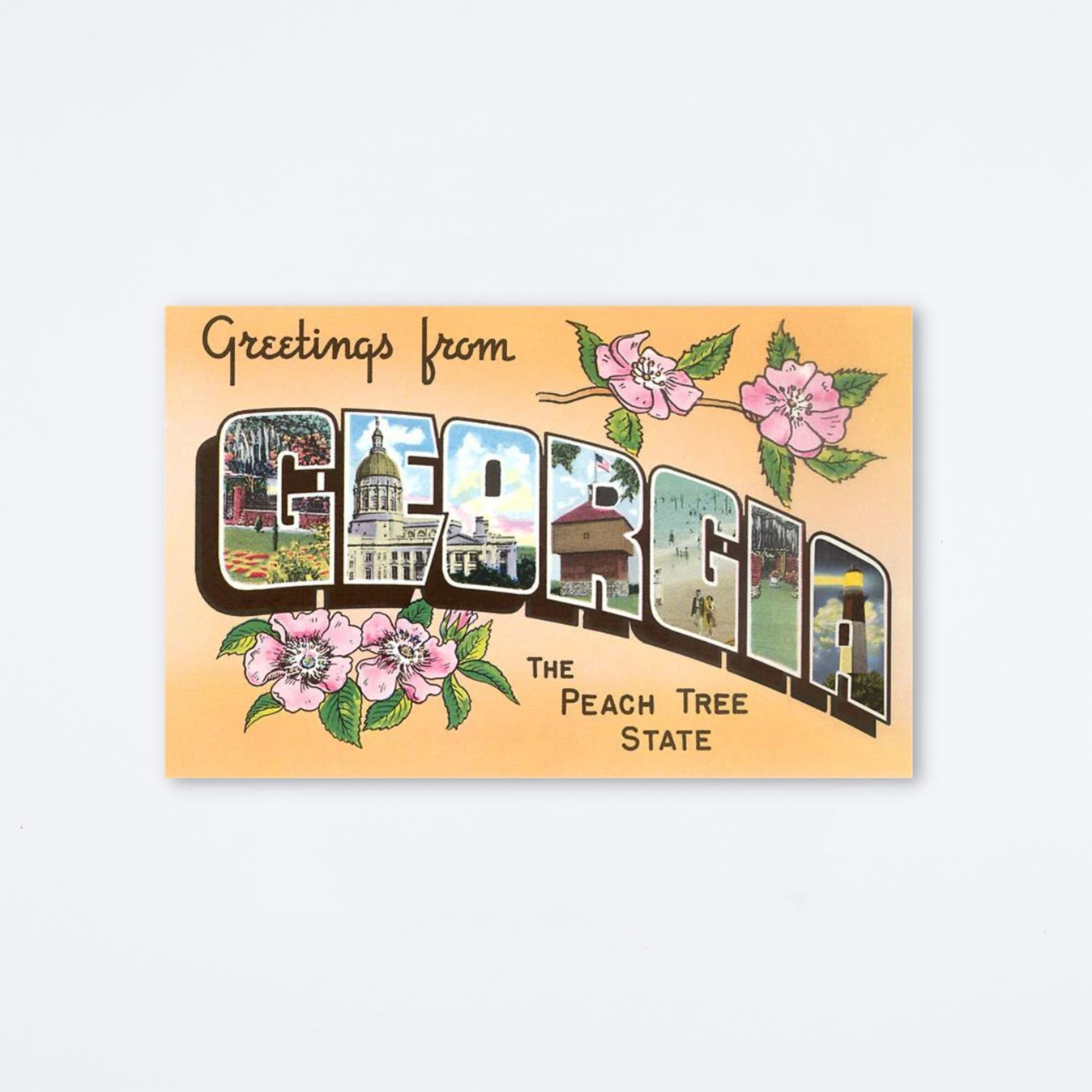 Greetings From Georgia The Peach Tree State Postcard