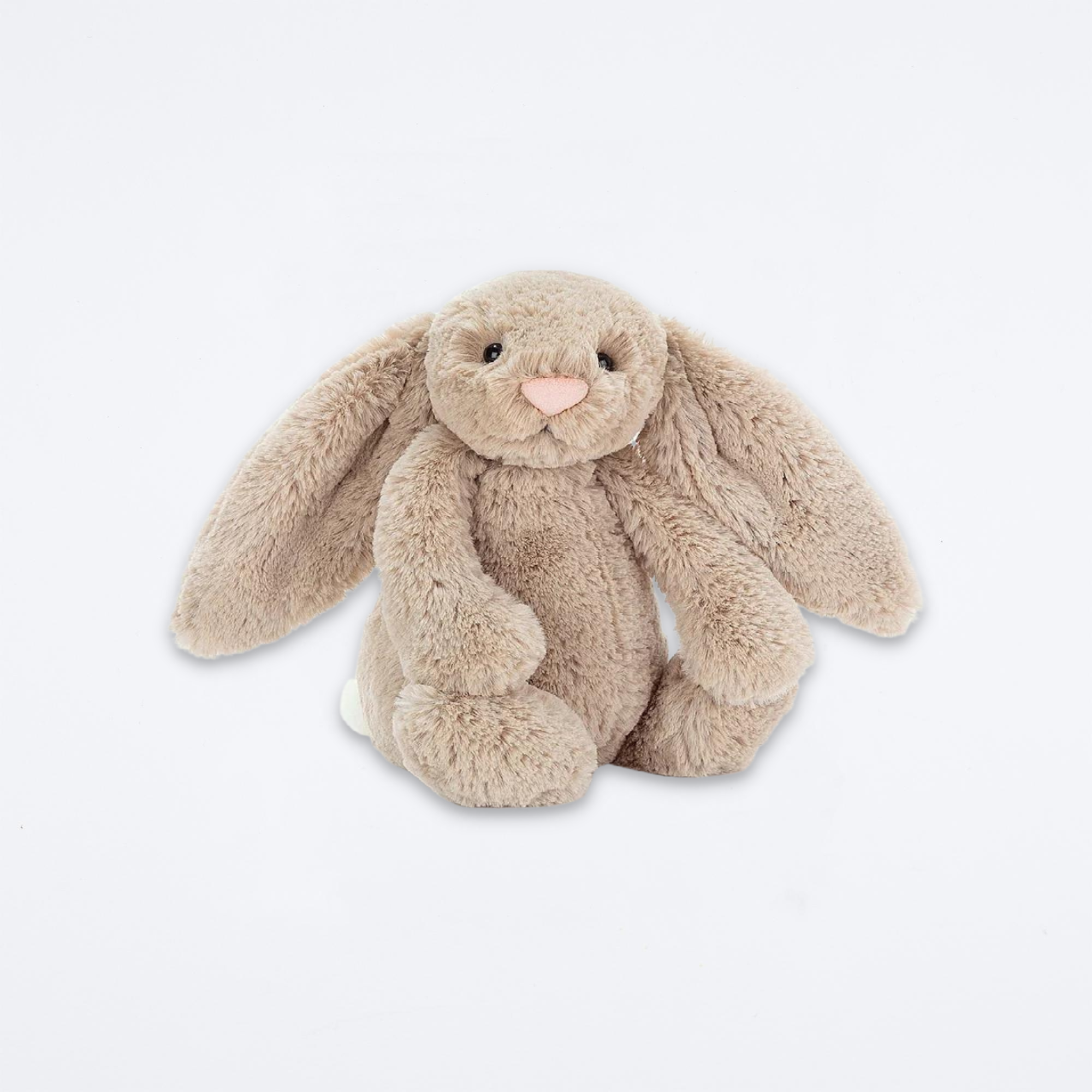 Bashful Beige Bunny