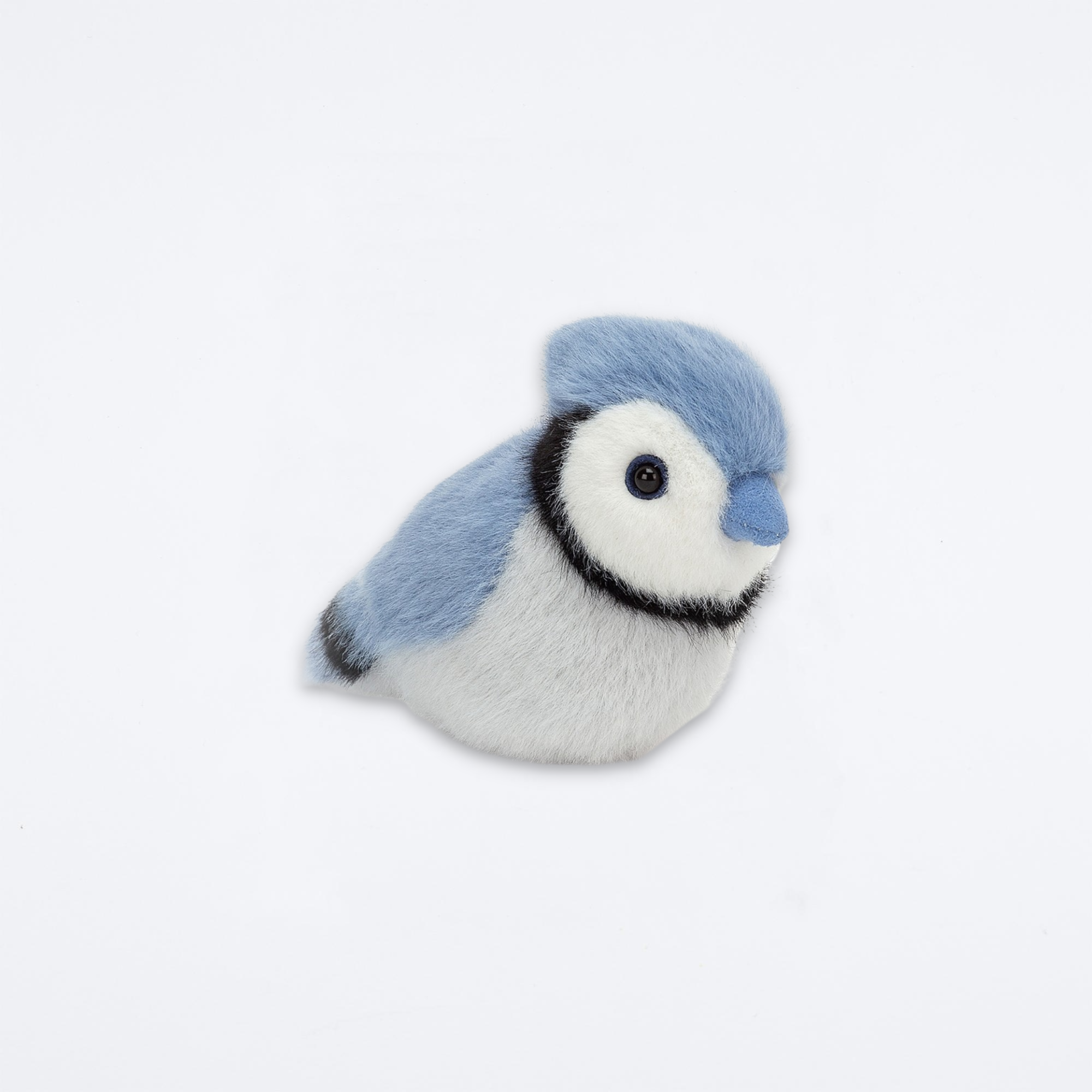 Birdling Blue Jay