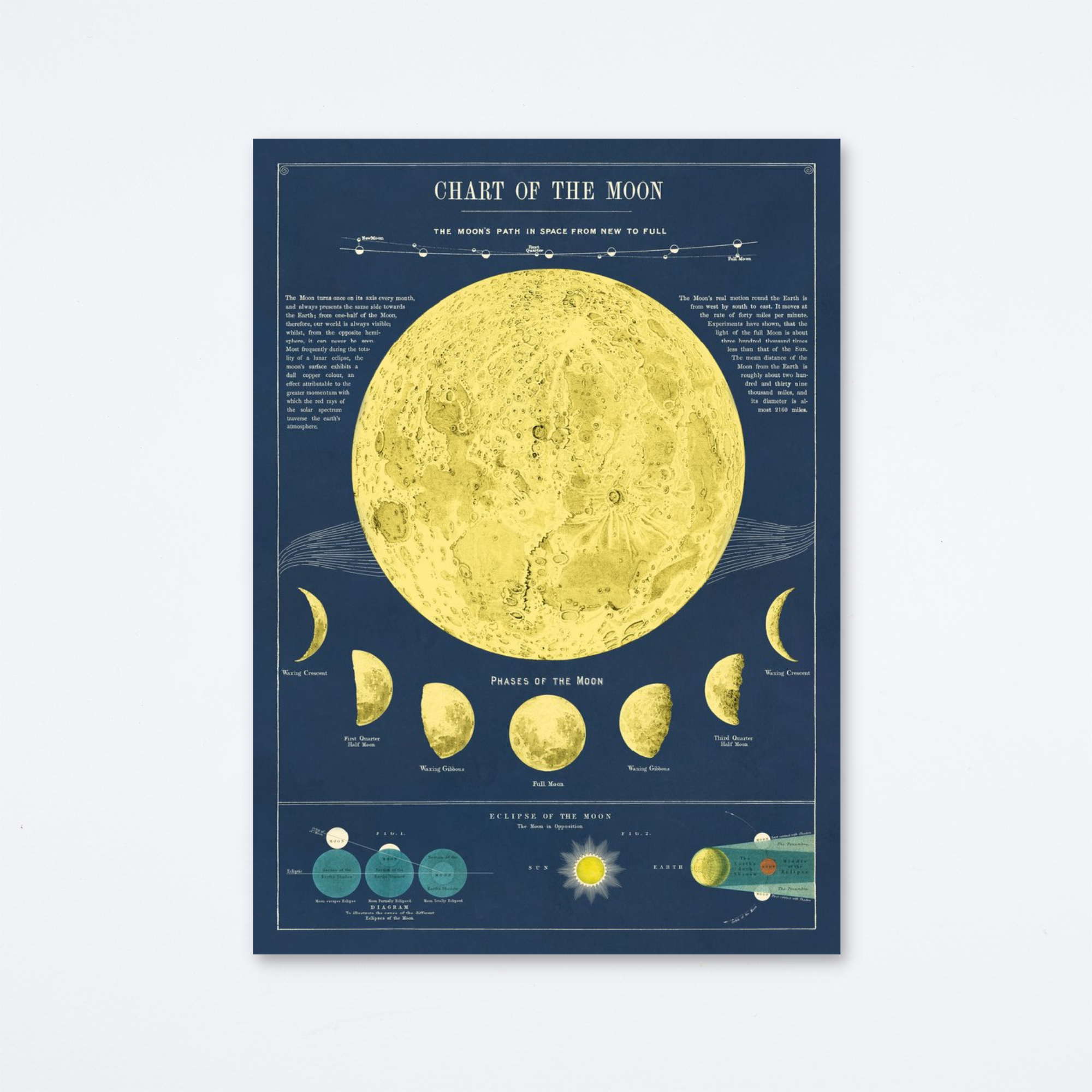 Moon Chart Wrap