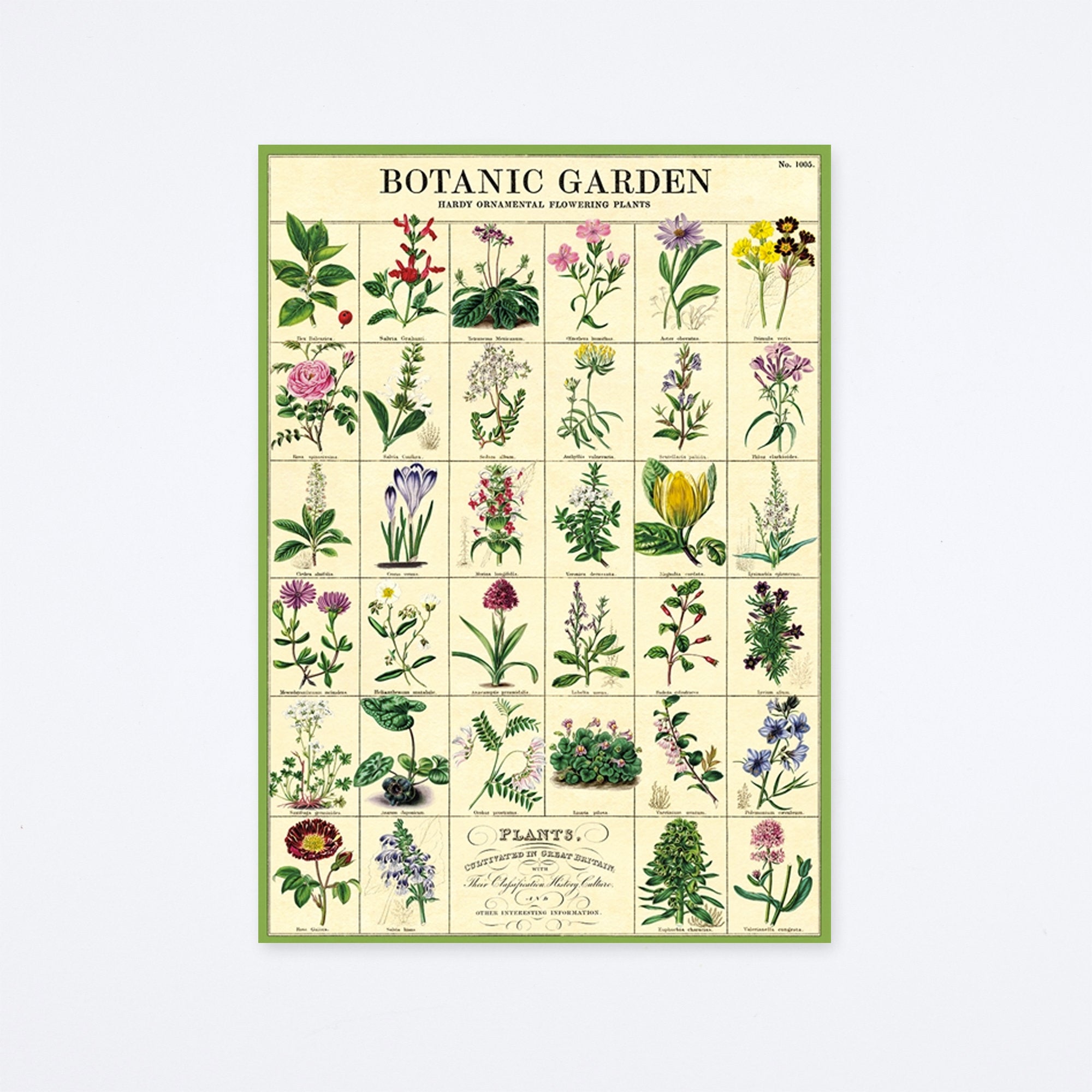 Botanic Garden Wrap