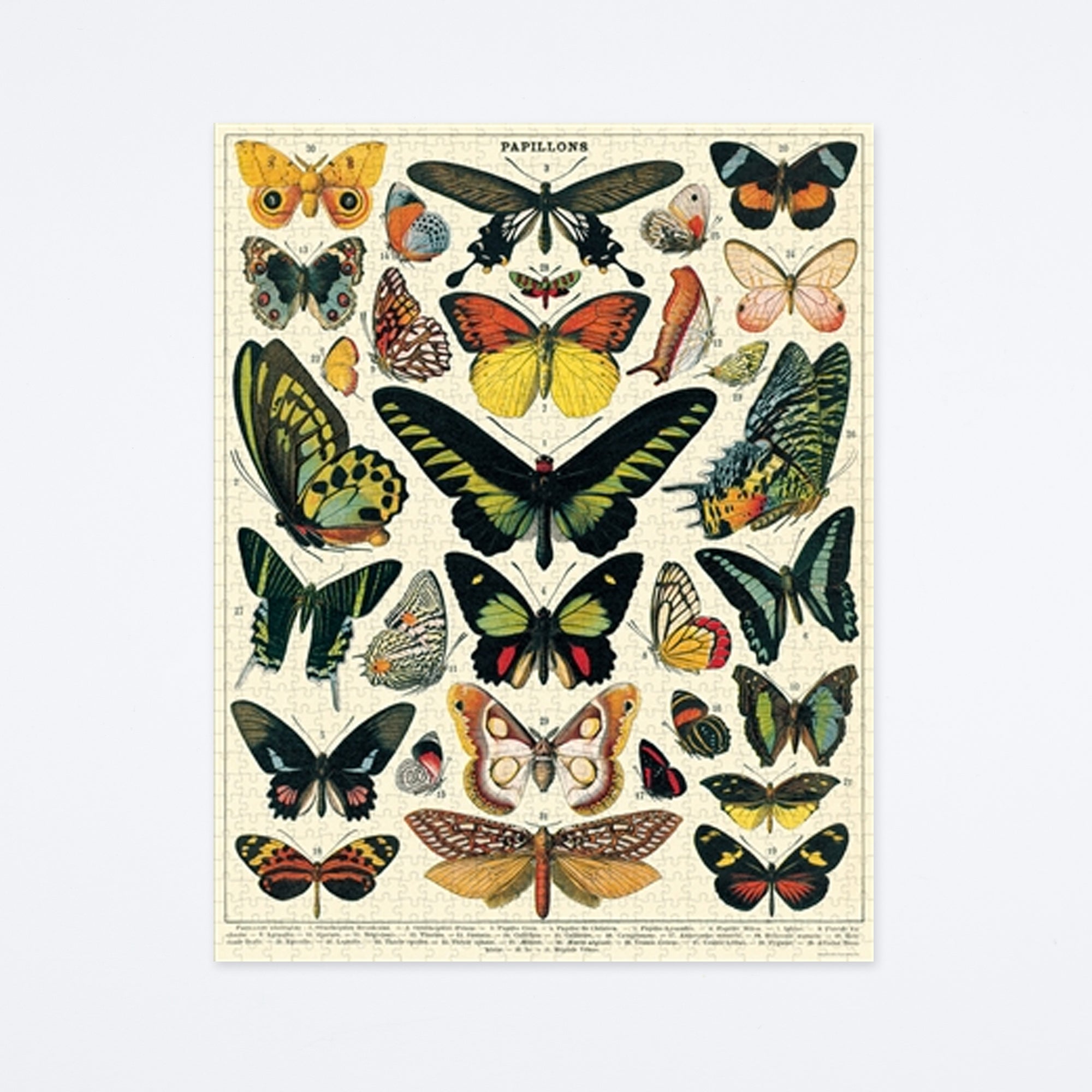 Butterflies Puzzle